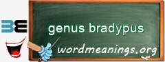 WordMeaning blackboard for genus bradypus